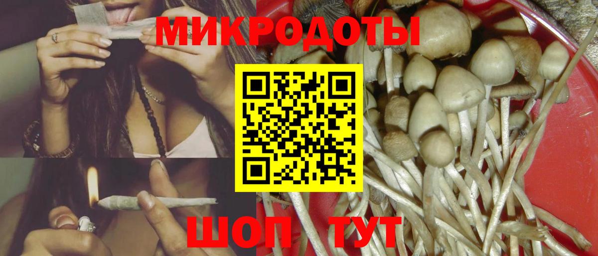 Псилоцибиновые грибы Cubensis Люберцы